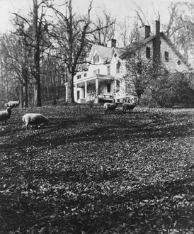 Joseph Lloyd Manor in 1910